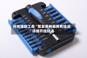 开挂辅助工具“聚友贵州麻将有挂没”详细开挂玩法