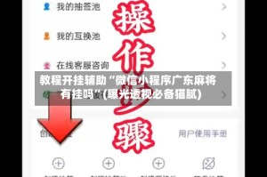 教程开挂辅助“微信小程序广东麻将有挂吗”(曝光透视必备猫腻)