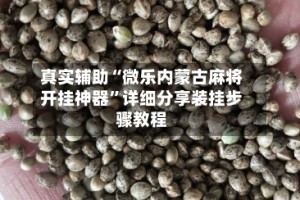 真实辅助“微乐内蒙古麻将开挂神器”详细分享装挂步骤教程