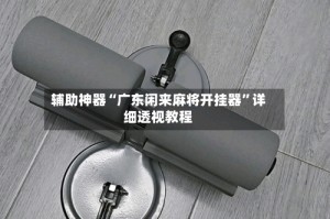 辅助神器“广东闲来麻将开挂器”详细透视教程