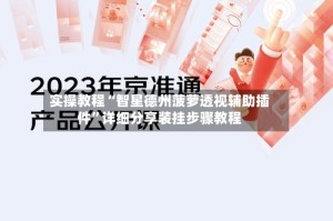 实操教程“智星德州菠萝透视辅助插件”详细分享装挂步骤教程