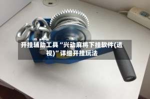 开挂辅助工具“兴动麻将下挂软件(透视)”详细开挂玩法