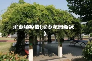 滨湖镇疫情(滨湖花园新冠)