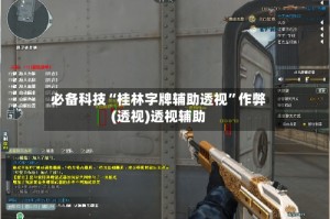 必备科技“桂林字牌辅助透视”作弊(透视)透视辅助