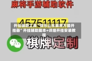 开挂辅助工具“微乐山东麻将万能开挂器”开挂辅助脚本+详细开挂安装教程
