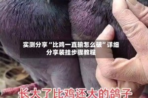 实测分享“比鸡一直输怎么破”详细分享装挂步骤教程