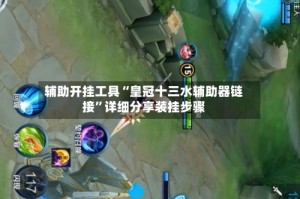 辅助开挂工具“皇冠十三水辅助器链接”详细分享装挂步骤