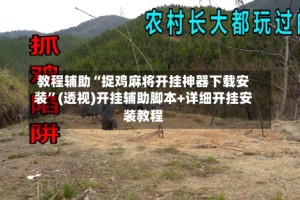 教程辅助“捉鸡麻将开挂神器下载安装”(透视)开挂辅助脚本+详细开挂安装教程