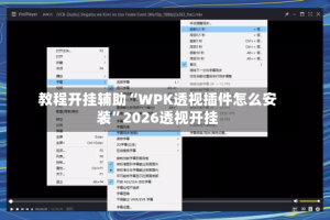 教程开挂辅助“WPK透视插件怎么安装”2026透视开挂