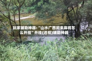 玩家辅助神器:“山水广西闲来麻将怎么开挂”开挂(透视)辅助神器