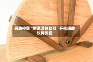 辅助神器“新道游辅助器”开挂辅助软件教程