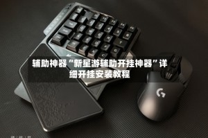 辅助神器“新星游辅助开挂神器”详细开挂安装教程