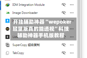 开挂辅助神器“wepoker轻量版真的能透视”科技辅助神器手机版教程
