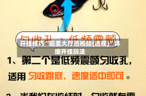 开挂技巧“超圣大厅透视挂(透视)”详细开挂玩法