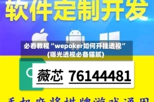 必看教程“wepoker如何开挂透视”(曝光透视必备猫腻)
