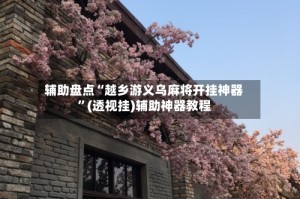 辅助盘点“越乡游义乌麻将开挂神器”(透视挂)辅助神器教程