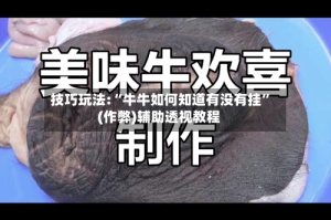 技巧玩法:“牛牛如何知道有没有挂”(作弊)辅助透视教程