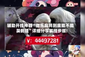 辅助开挂神器“微乐麻将到底能不能买到挂”详细分享装挂步骤!
