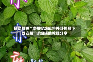 辅助教程“贵州捉鸡麻将外卦神器下载安装”详细辅助教程分享