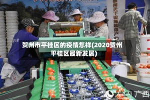 贺州市平桂区的疫情怎样(2020贺州平桂区最新发展)