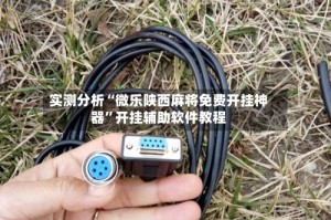 实测分析“微乐陕西麻将免费开挂神器”开挂辅助软件教程