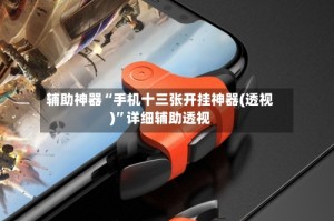 辅助神器“手机十三张开挂神器(透视)”详细辅助透视