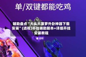辅助盘点“大头大菠萝外卦神器下载安装”(透视)开挂辅助脚本+详细开挂安装教程