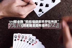 一键必胜“旺旺福建麻将开挂神器”(原来确实是有插件)