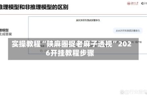 实操教程“陕麻圈捉老麻子透视”2026开挂教程步骤