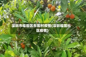 深圳市福田区东围村疫情(深圳福围社区疫情)