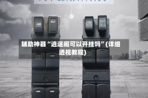 辅助神器“逍遥阁可以开挂吗”(详细透视教程)