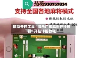 辅助开挂工具“微乐广东麻将开挂神器”开挂详细教程