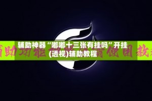 辅助神器“嘟嘟十三张有挂吗”开挂(透视)辅助教程