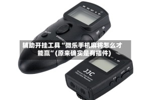 辅助开挂工具“微乐手机麻将怎么才能赢”(原来确实是有插件)