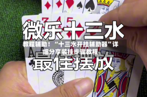 教程辅助！“十三水开挂辅助器”详细分享装挂步骤教程
