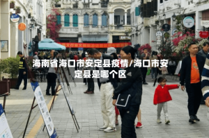 海南省海口市安定县疫情/海口市安定县是哪个区