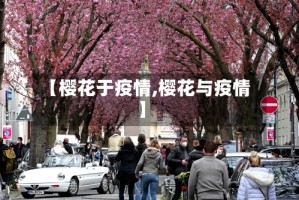 【樱花于疫情,樱花与疫情】