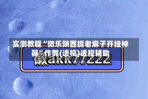 实测教程“微乐陕西捉老麻子开挂神器”作弊(透视)透视辅助