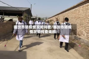 临汾市防疫情况如何查/临汾市防疫情况如何查询的