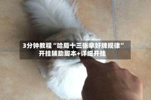 3分钟教程“哈局十三张拿好牌规律”开挂辅助脚本+详细开挂