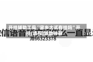 开挂辅助工具“家乡大贰有挂吗”开挂(透视)辅助神器