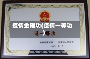 疫情金刚功(疫情一等功)