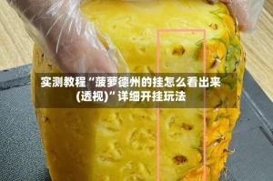 实测教程“菠萝德州的挂怎么看出来(透视)”详细开挂玩法