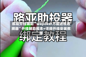 教程开挂辅助“wepoker万能透视看牌器”开挂辅助脚本+详细开挂安装教程