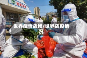 世界疫情战场/世界战疫情况