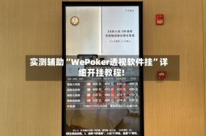实测辅助“WePoker透视软件挂”详细开挂教程!