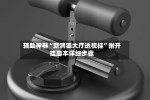 辅助神器“新鸿狐大厅透视挂”附开挂脚本详细步骤