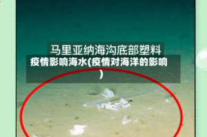 疫情影响海水(疫情对海洋的影响)