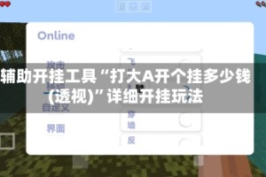 辅助开挂工具“打大A开个挂多少钱(透视)”详细开挂玩法