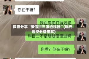 教程分享“微信拼三张透视挂”(曝光透视必备猫腻)